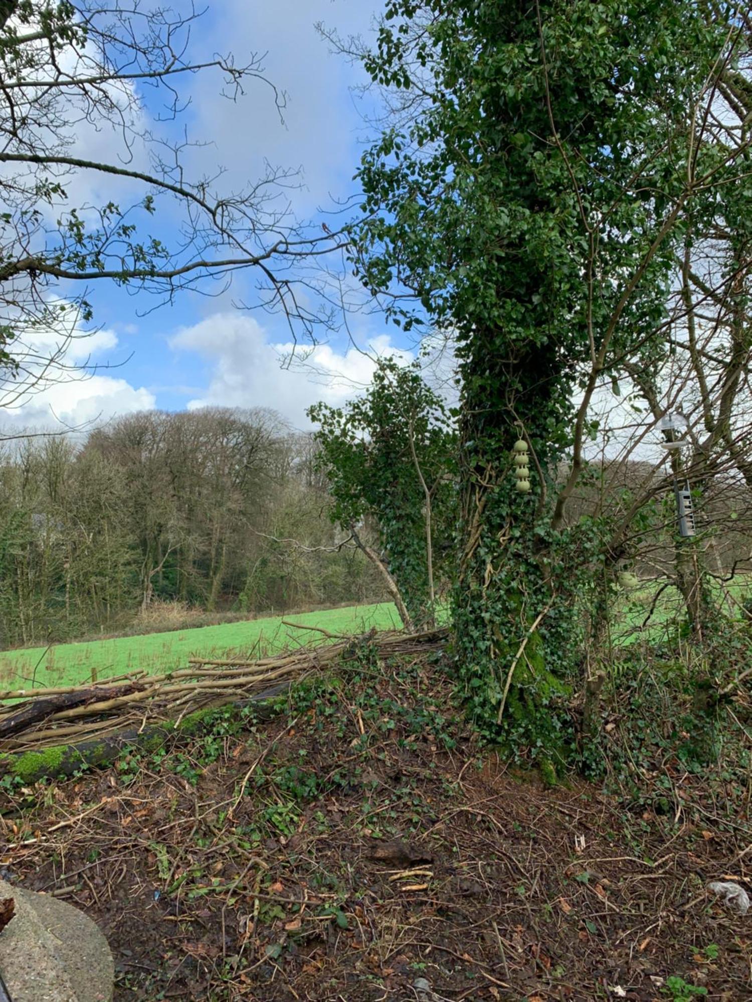 4 Devon Country, Bideford Bay Holiday Park Bucks Mills Eksteriør bilde